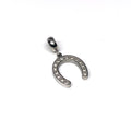 Lucky Horseshoe Charm